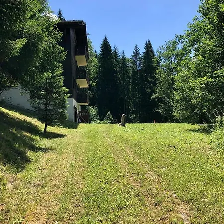 Riviere Du Bon Nant Location De 6 A 14 Personnes En Haute Savoie Apartment