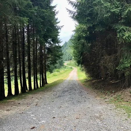 Apartment Riviere Du Bon Nant Location De 6 A 14 Personnes En Haute Savoie