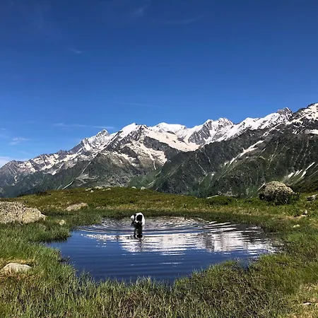 Riviere Du Bon Nant Location De 6 A 14 Personnes En Haute Savoie *
