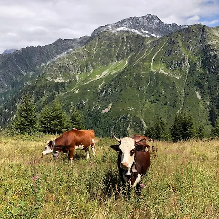 Apartment Riviere Du Bon Nant Location De 6 A 14 Personnes En Haute Savoie Saint-Gervais-les-Bains