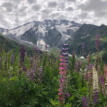 Riviere Du Bon Nant Location De 6 A 14 Personnes En Haute Savoie * Saint-Gervais-les-Bains