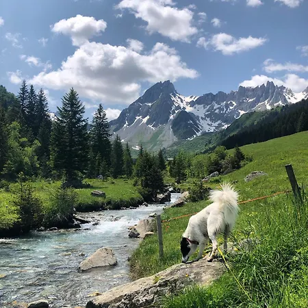 Apartment Riviere Du Bon Nant Location De 6 A 14 Personnes En Haute Savoie Saint-Gervais-les-Bains